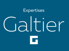 Expertises Galtier